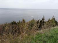 IMG_20190606_085152