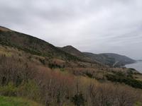 IMG_20190606_085158