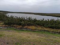 IMG_20190606_090536