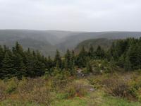 IMG_20190606_094514