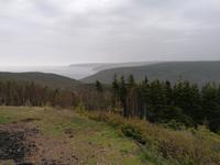 IMG_20190606_094518