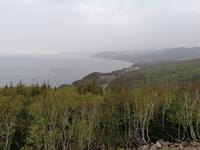 IMG_20190606_095704