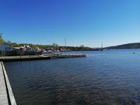 IMG_20190607_093547