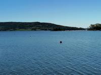 IMG_20190607_093558