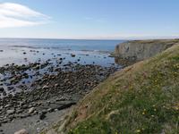 IMG_20190608_154452
