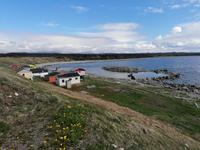 IMG_20190608_154509