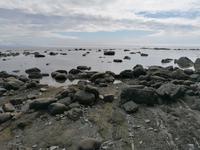 IMG_20190608_160605