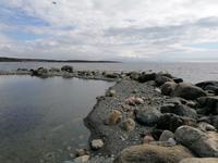 IMG_20190608_161043