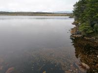 IMG_20190608_163628