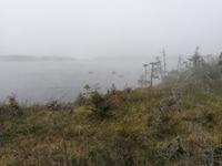 IMG_20190608_170511