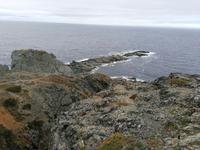IMG_20190609_153833