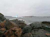 IMG_20190610_101343