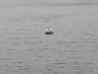 IMG_20190610_162412