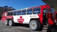 Ice Explorer auf dem Athabasca Gletscher