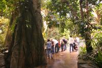 Im Biodome Montreal