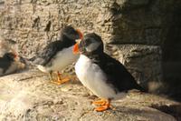 Im Biodome Montreal