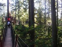 Im Gelände der Capilano Suspension Bridge