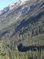 Im Nationalpark