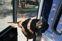 Im Omega Wildpark
