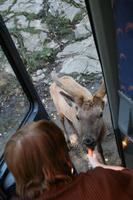 Im Omega Wildpark