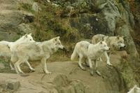 Im Omega-Wildpark