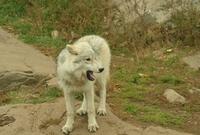 Im Omega-Wildpark