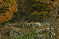 Im Omega-Wildpark