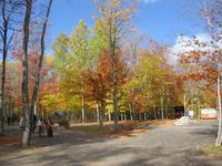 Im Park des Sainte-Anne Canyons