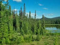 Impressionen aus den Rockies (306)