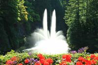 In den Butchart Gardens
