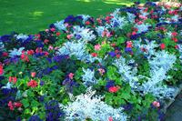 In den Butchart Gardens