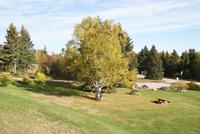 Indian Summer (11)
