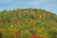 Indian Summer (12)