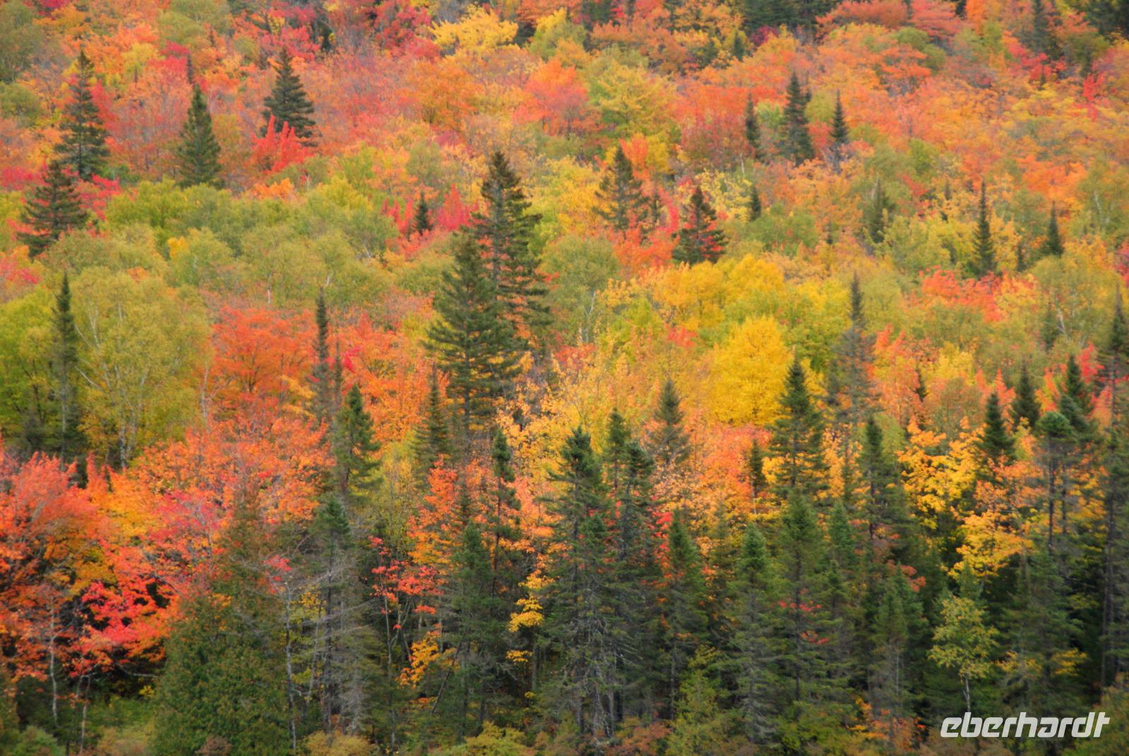 Indian Summer (6)