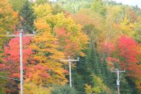 Indian Summer in voller Pracht