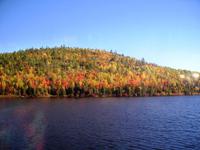 Indian Summer live!