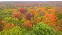 Indian Summer par excellence