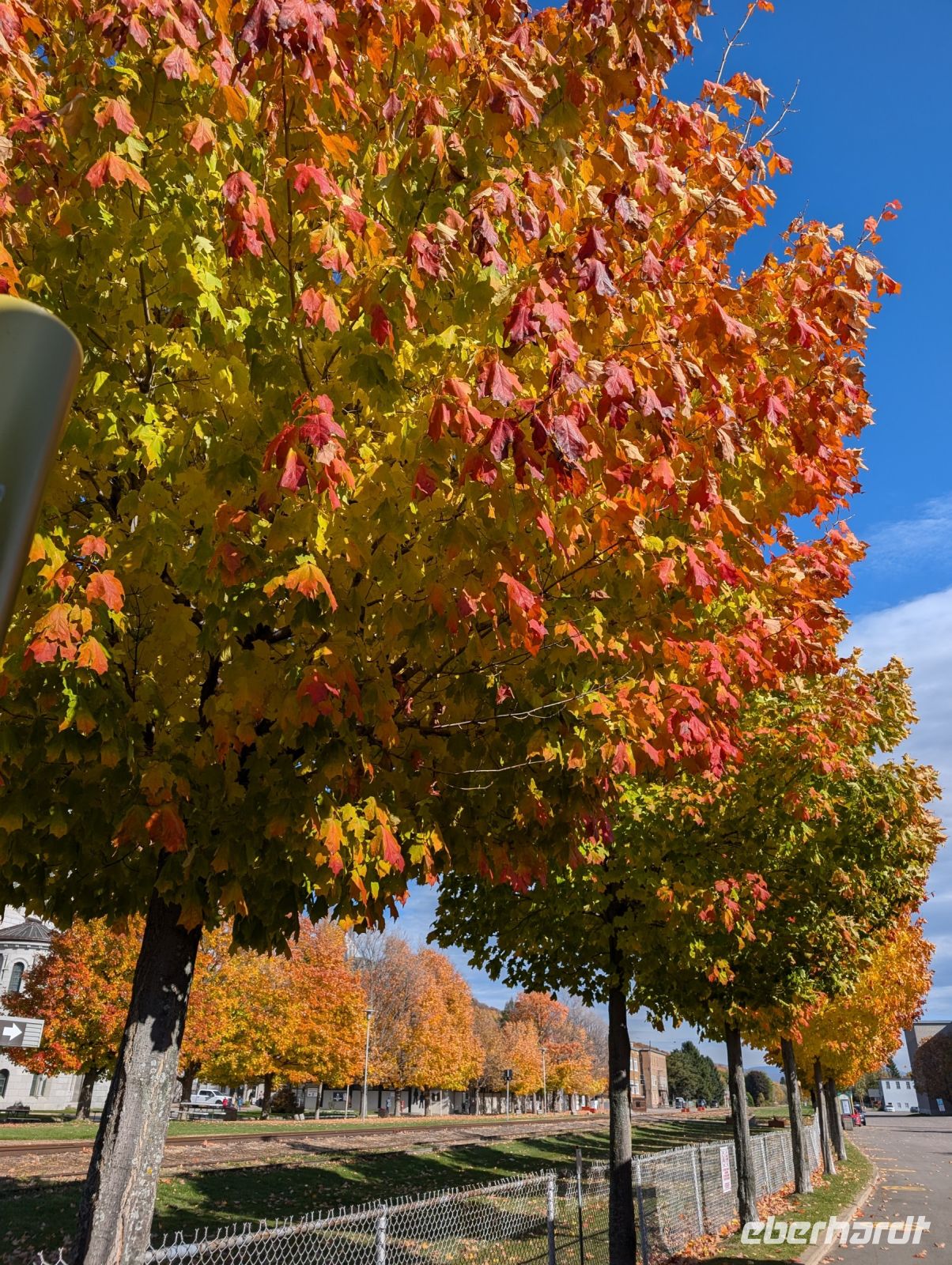 Indian Summer