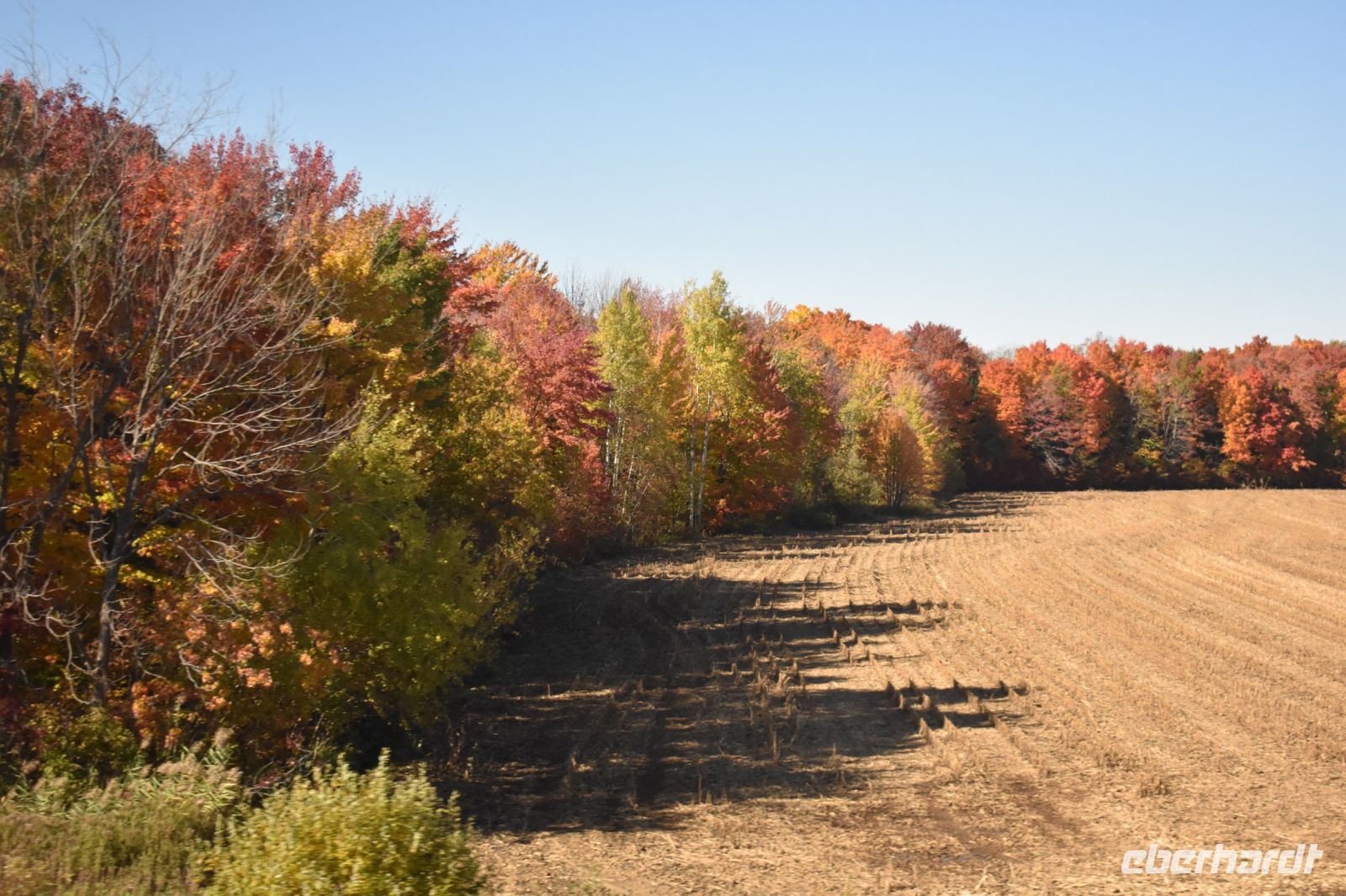 Indian Summer