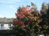 Indian Summer
