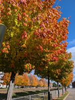 Indian Summer