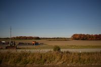 Indian Summer