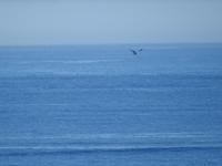 Inside Passage