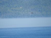 Inside Passage