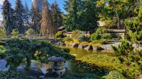 Japanischer Garten hinter dem Rathaus von Kelowna