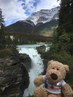 Jasper National Park - Sunwapta Falls
