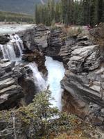 Jasper Nationalpark 