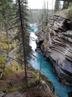 Jasper Nationalpark 
