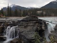 Jasper Nationalpark 
