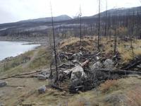 Jasper Nationalpark 